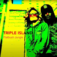 Flatbush Jungle (feat. Triple Island) - Single by Ray Angry album reviews, ratings, credits