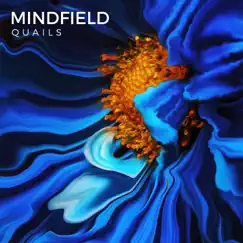 Mindfield - EP by Quails album reviews, ratings, credits