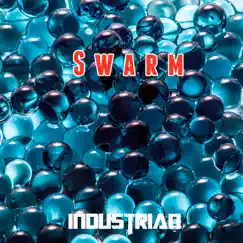 Swarm - Single by Industrian album reviews, ratings, credits