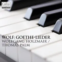 Wolf: Goethe Lieder by Wofgang Holzmair & Thomas Palm album reviews, ratings, credits