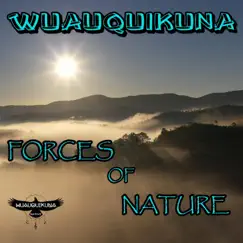Forces of Nature by Wuauquikuna album reviews, ratings, credits