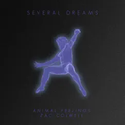 Several Dreams - Single by ANIMAL FEELINGS & Zac Colwell album reviews, ratings, credits