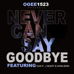 Never Can Say Goodbye (feat. Oun-P, J-Quest & Song Bird) - Single by Ogee1523 album reviews, ratings, credits
