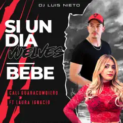 Si un Día Vuelves / Bebé (feat. Laura Ignacio) - Single by Cali Guaracumbiero & Dj Luis Nieto album reviews, ratings, credits