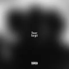 Never Forget - Single by RAW - B album reviews, ratings, credits