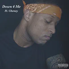 Down 4 Me (feat. Cheney) Song Lyrics