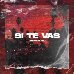 Si te vas - Single by Youngkind album reviews, ratings, credits