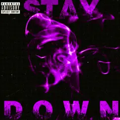 Stay Down (feat. CTB Nick) - Single by RJ DaProducer album reviews, ratings, credits