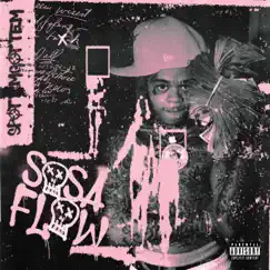 Sosa Flow - Single by SpotemGottem album reviews, ratings, credits