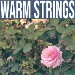 Warm Strings - EP by Jurjo album reviews, ratings, credits