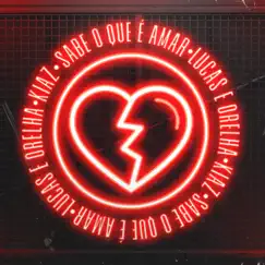 Sabe O Que É Amar - Single by Lucas e Orelha & Kiaz album reviews, ratings, credits