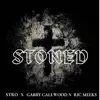 Stoned (feat. Ric Meeks & Gabby Callwood) - Single album lyrics, reviews, download