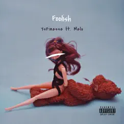 Foolish (feat. Melobethyname) Song Lyrics