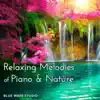 Relaxing Melodies of Piano & Nature album lyrics, reviews, download