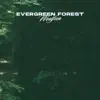 Evergreen Forest - Single album lyrics, reviews, download