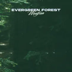 Evergreen Forest - Single by WOOLFSON album reviews, ratings, credits