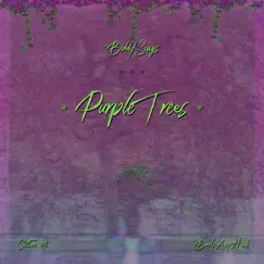 Purple Trees (feat. Culture'95 & BarelyAnyHook) - Single by BiddySings album reviews, ratings, credits