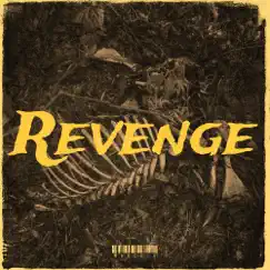 Revenge - Single by Marco V album reviews, ratings, credits