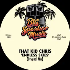 Endless Skies - Single by That Kid Chris album reviews, ratings, credits