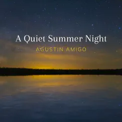 A Quiet Summer Night - Single by Agustín Amigó album reviews, ratings, credits