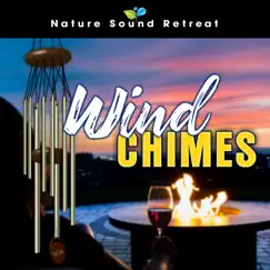 Sparkling Beachside Ambience - Wind Chimes, Ocean Waves, Ocean Birds & Calming Piano Music (Loopable) Song Lyrics