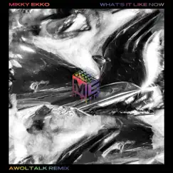 What's It Like Now (Awoltalk Remix) - Single by Mikky Ekko album reviews, ratings, credits