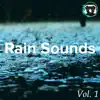 Rain Sounds for Sleep, Vol. 1 (Loopable audio) album lyrics, reviews, download