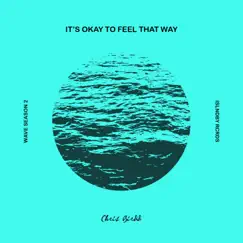 It's Okay To Feel That Way Song Lyrics