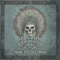Young Dogs Old Tricks by The Texas Flood album reviews, ratings, credits