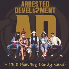 Vibe (feat. Big Daddy Kane, Cleveland P. Jones, Speech, Tasha LaRae & Configa) Song Lyrics