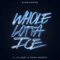Whole Lotta Ice (feat. Lil Baby & Pooh Shiesty) - Single by BigWalkDog album reviews, ratings, credits