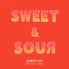 Sweet & Sour (feat. Lauv & Tyga) Song Lyrics
