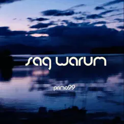 Sag Warum Song Lyrics