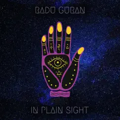 In Plain Sight (Vocal Mix) - Single by Radu Guran album reviews, ratings, credits