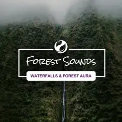 Waterfalls & Forest Aura by Forest Sounds album reviews, ratings, credits