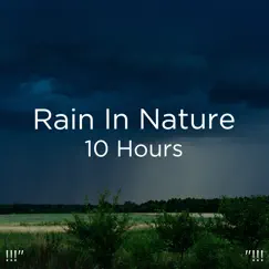 Mindfulness Nature & Rain Song Lyrics