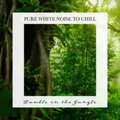 Rumble in the Jungle: Pure White Noise to Chill by Tom Green album reviews, ratings, credits