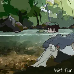 Wet Fur - Single by Nilok album reviews, ratings, credits