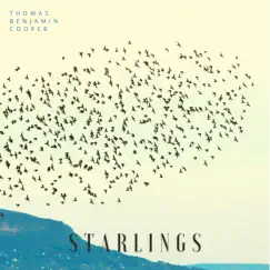 Starlings - Single by Thomas Benjamin Cooper album reviews, ratings, credits