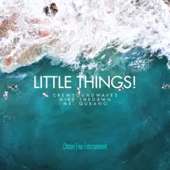 Little Things! - Single by Crewsoundwaves, MikeTheDawn & Mr. Qubano album reviews, ratings, credits