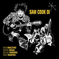 Sam Cook Di (feat. Vincent Ségal, Ballaké Sissoko & Roger Raspail) - Single by David Walters album reviews, ratings, credits