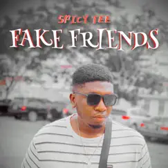 Fake Friends - Single by Spicy Tee album reviews, ratings, credits