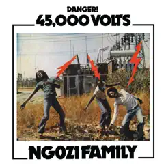 45,000 Volts by Ngozi Family album reviews, ratings, credits