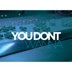 You Don't Wanna - Single by The Biznezzz album reviews, ratings, credits