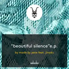 Beautiful Silence (feat. Jinadu) Song Lyrics