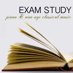 Exam Study Song Lyrics