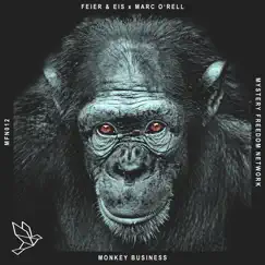Monkey Business (Radio Mix) Song Lyrics
