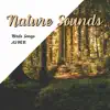Nature Sounds, Birds Songs ASMR album lyrics, reviews, download
