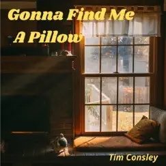 Gonna Find Me a Pillow by Tim Consley album reviews, ratings, credits