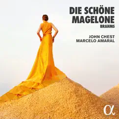 Die schöne Magelone, Op. 33: XI. Wie schnell verschwindet (Etwas langsam) Song Lyrics